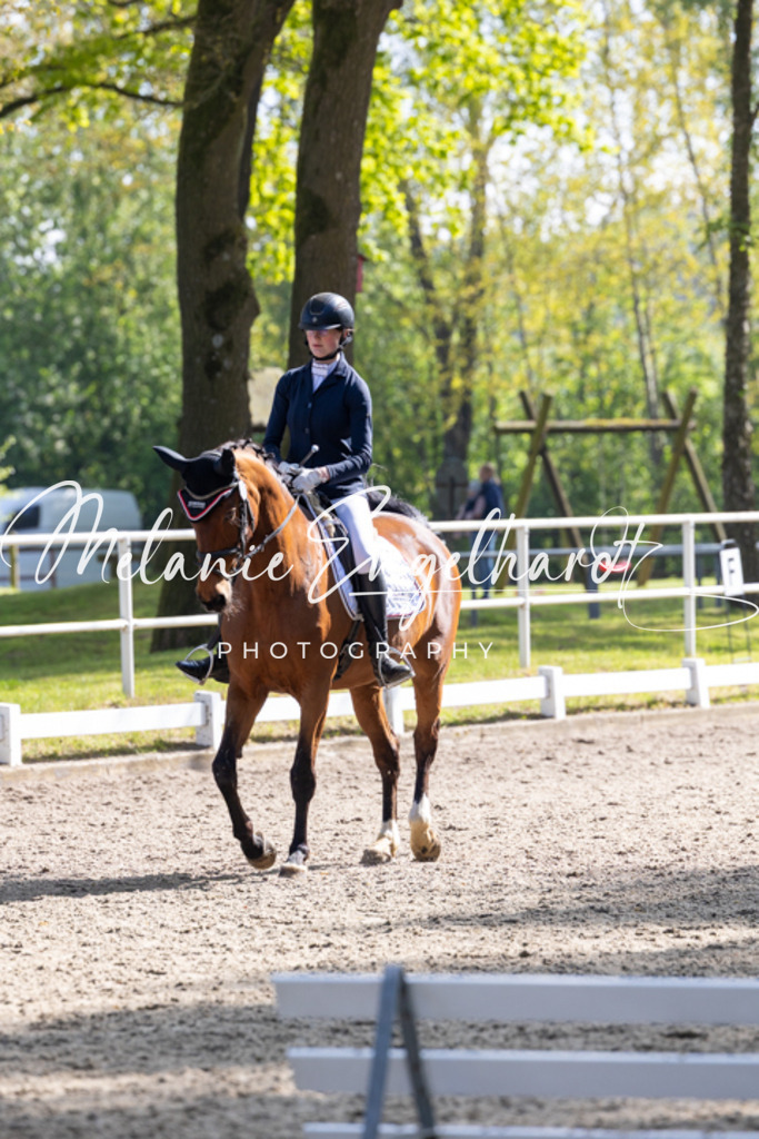 7I8A1263 | melanie-engelhardt-photography - Realisiert mit Pictrs.com
