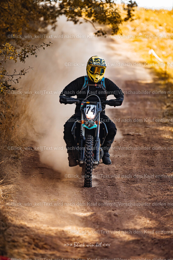 E68A7539 | blick_win_kel