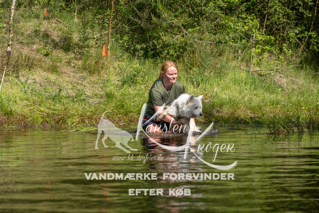 0951DKK9_ZZ93556 | kk-dogfotos