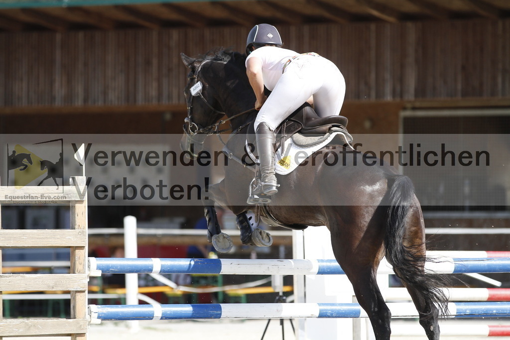 _MG_5278 | equestrian-live-com