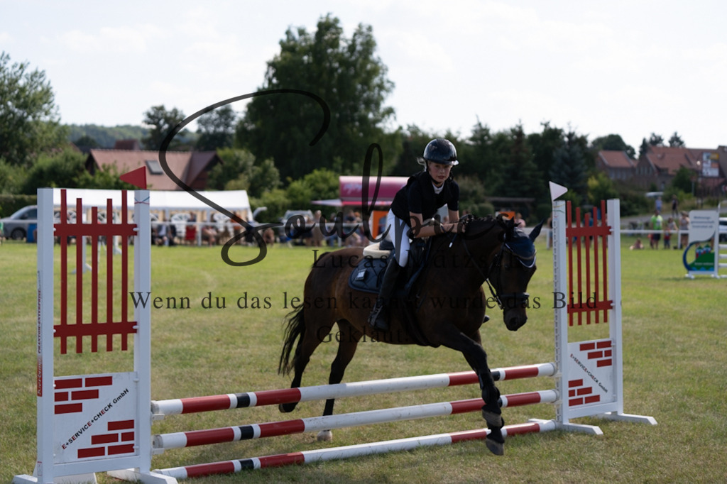 A7V00559 2 | Turnier/Reitfotograf