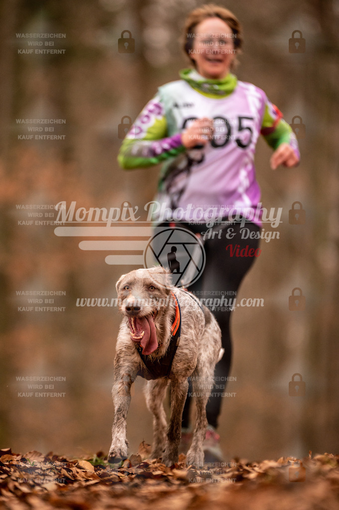 AKM_ST_2023_Son_Run-5 | PayLife