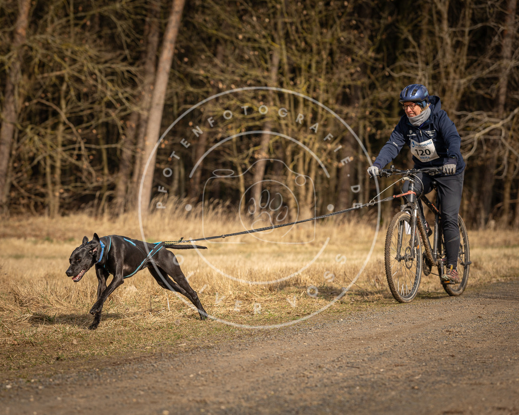 DV3A4377 | Hundefotografie, Tierfotograf, Pfotenfotografie, Fotoshooting Hund, Hunde Portrait, Hundesport, Hundeportraits, Heideshooting, Hunde, Sportfotograf, Hundefotograf, Turnierhundsport, THS,  - Realisiert mit Pictrs.com