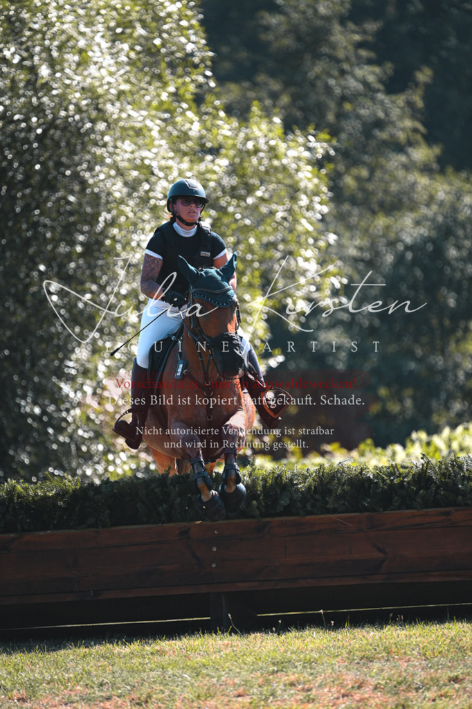 DSC_8031 | Pferde- und Turnierfotografie in Westsachsen. Pferdeportraits, Auftragszeichnungen und intuitive Kunst.