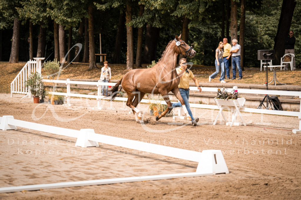 4.Fr00053 | Leoni Ertmer Photography - Realisiert mit Pictrs.com