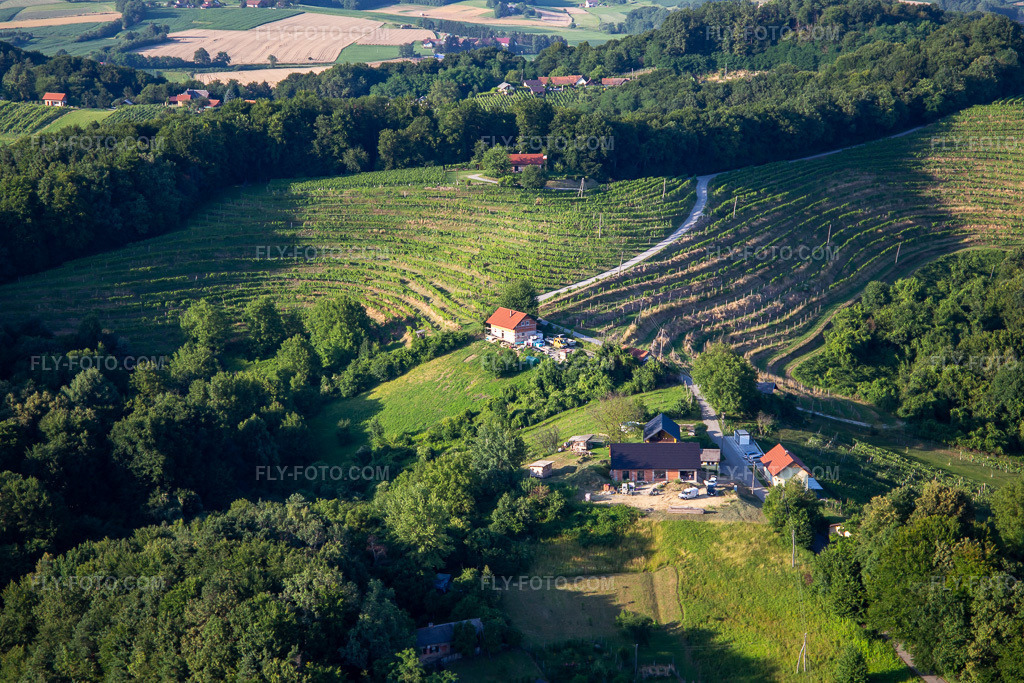 Aerial view: Vineyards in the district Podgorci in Ormož in the state Slovenia, Slovenia.Photo: IMG_137289.jpg taken on 07/08/2023 by Werner Riehm/FLY-FOTO.comResolution of the original: 5472 x 3648 px