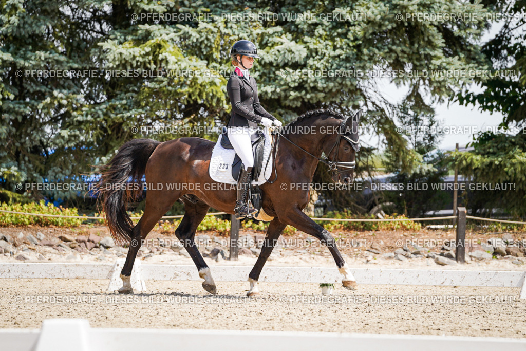 DSC01530 | Pferdegrafie