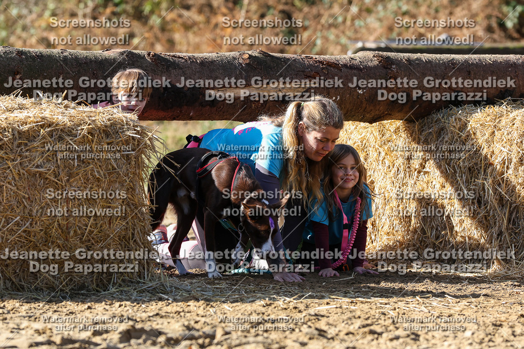 Dog Paparazzi - Strongdog 10-25-2947 | Dog Paparazzi Jeanette Grottendiek Fotografie & Videografie - Realisiert mit Pictrs.com