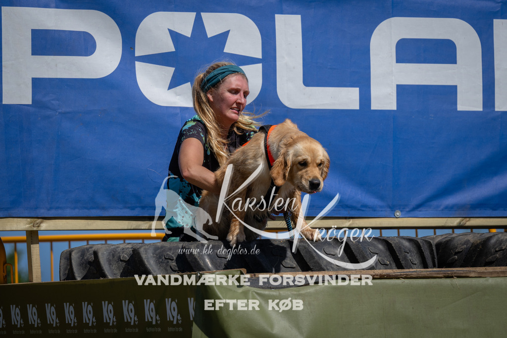 1239_ZZ95934 | kk-dogfotos