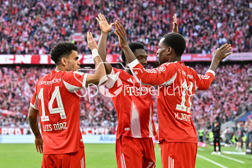 FC Bayern München - VfB Stuttgart | MUNICH, GERMANY - 19. APRIL: Bayern celebrating the goal to makes 2-1 / Tor / Torschuetze / Freude / Happy - Nicolas JACKSON (FC Bayern Munich 11) during the Bundesliga Match between FC Bayern Munich vs. VfB Stuttgart at Matchday 30 at Allianz Arena / DFL REGULATIONS PROHIBIT ANY USE OF PHOTOGRAPHS AS IMAGE SEQUENCES AND/OR QUASI-VIDEO / Luis DIAZ (FC Bayern Munich 14) / Alphonso DAVIES (FC Bayern Munich 19)