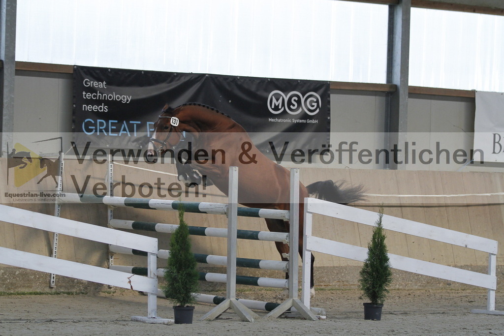 _MG_0786 | equestrian-live-com