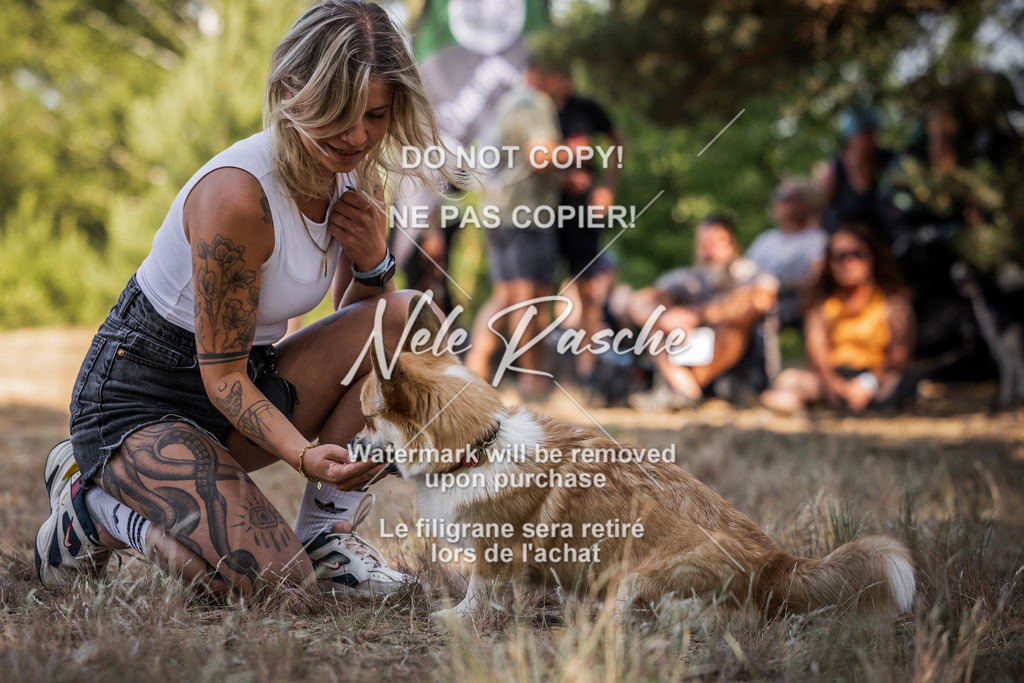 nelerasche_soDD1_403 | nelerasche