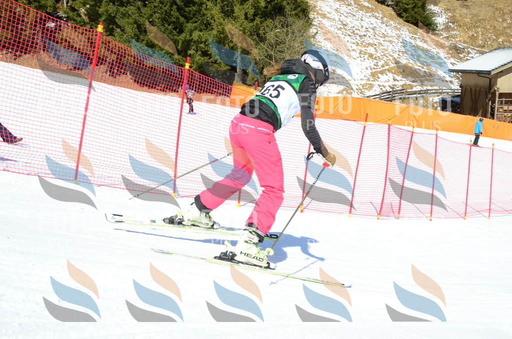 C6248 | holidayphoto