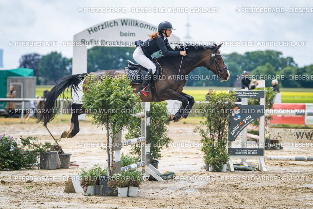 DSC04508 | Pferdegrafie