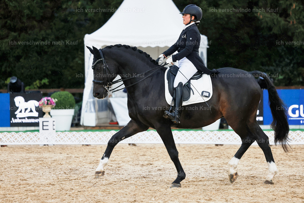 8_2-183-DRESSUR S_  -StoibPH-4553 | working equitationturnier fotograf videograf stoibphotography marixx film working equitation deutschland reitsport turnierfotografie eventfotografie equestrian events
