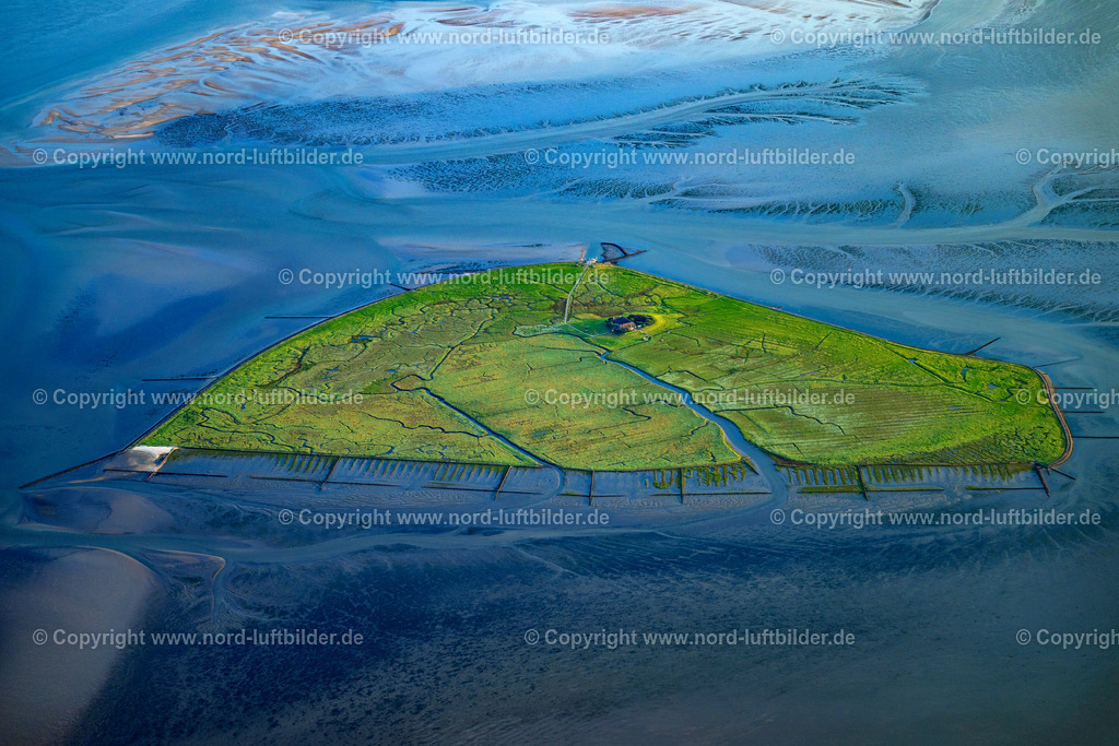 Hallig_Süderoog_ELS_76041130825 | PELLWORM 13.08.2025 Grasflächen- Strukturen der Hallig- Landschaft Süderoog in Pellworm Nordfriesland im Bundesland Schleswig-Holstein, Deutschland. // Grassy structures of the Hallig landscape Suederoog in Pellworm Nordfriesland in the state Schleswig-Holstein, Germany. Foto: Martin Elsen