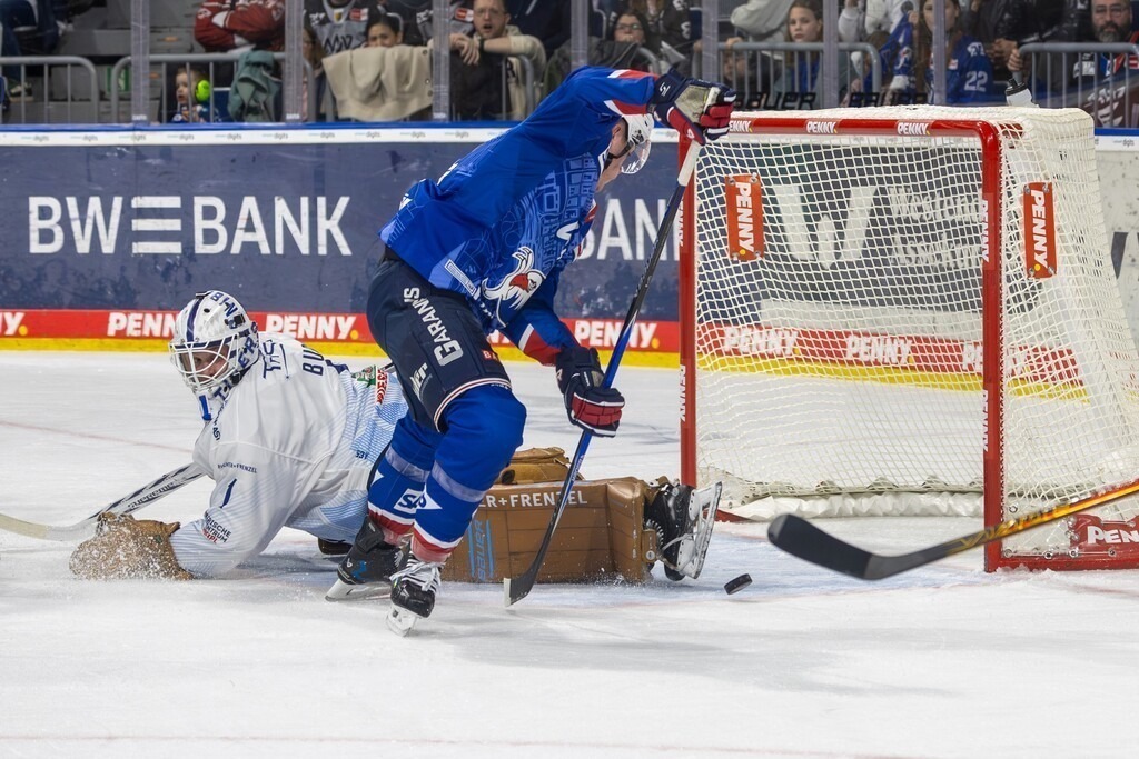 DEL, Deutsche Eishockey Liga Saison 2025/26, 47. Spieltag: Adler Mannheim gegen Straubing Tigers | DEL, Deutsche Eishockey Liga Saison 2025/26, 47. Spieltag: Adler Mannheim gegen Straubing Tigers***Justin Schütz (74, Mannheim) erzielt den Anschlusstreffer zum 1:2 - Realisiert mit Pictrs.com