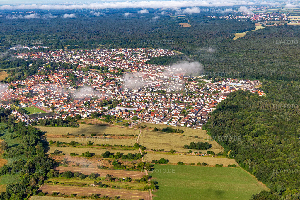 Luftbild: Ortsansicht von Nordosten in Jockgrim im Bundesland Rheinland-Pfalz in Deutschland. Foto: IMG_141827.jpg vom 18.06.2024 durch Werner Riehm/FLY-FOTO.de