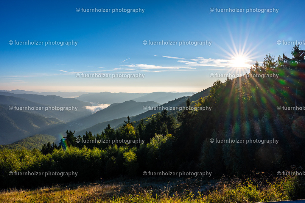 fuernholzer_251004-C1-6 | © Christian Fuernholzer | fuernholzer photography