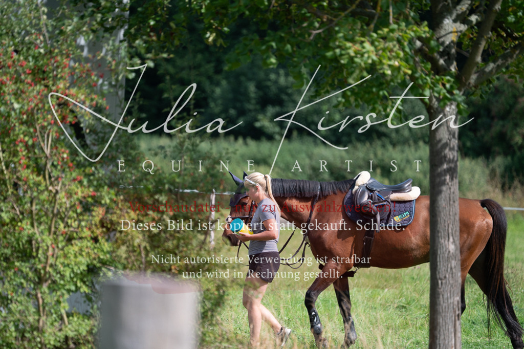 DSC_0973 | Pferde- und Turnierfotografie in Westsachsen. Pferdeportraits, Auftragszeichnungen und intuitive Kunst.