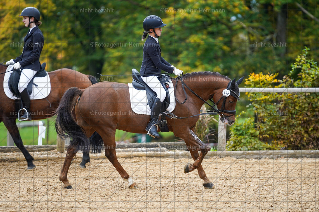 20221008-FAH01458 | Diessen am Ammersee, 2022, Dressur- und Springturnier, Reitsportbilder, Turnierfotografen Bayern, Pferdefotografen, Fotoagentur Herrmann, Turnierbilder