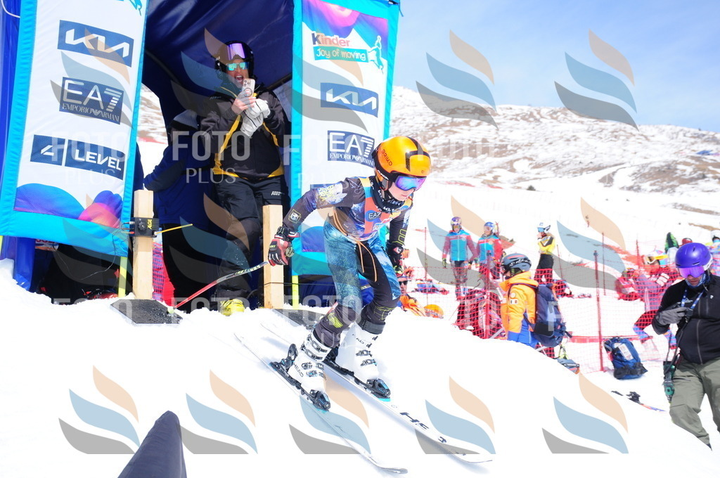 DSC_7132 | holidayphoto