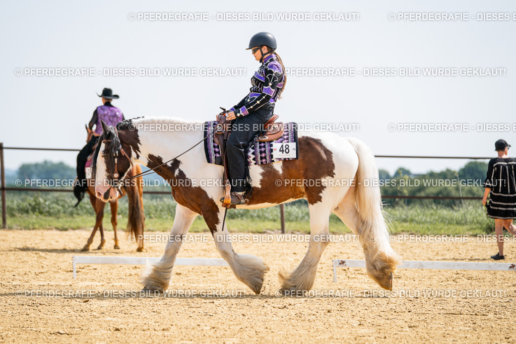 DSC00038 | Pferdegrafie