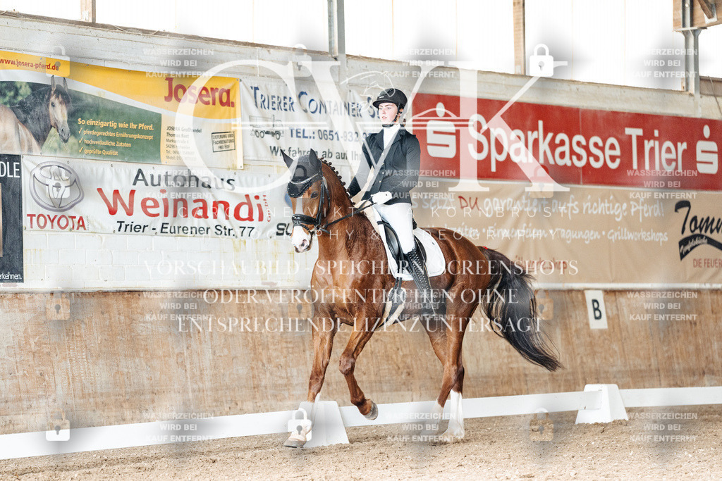 CK901740 | Turnierfotografie Pferdefotografie Trier Rheinland-Pfalz Pferdesport Reitsport Tierfotografie Sportfotografie Pferdevideo Pferdevideografie Equestrianvideography equestrianphotography  - Realisiert mit Pictrs.com