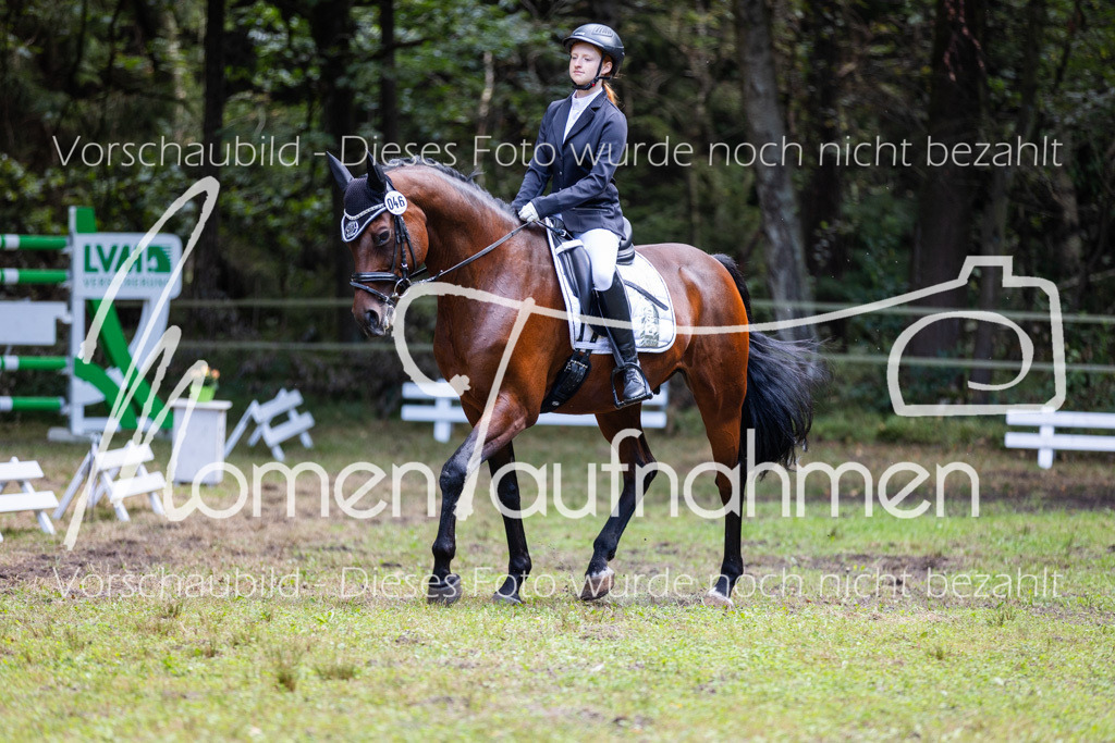 HB-Dressur-WB-087 | MomenTaufnahmen Pferdesportfotos