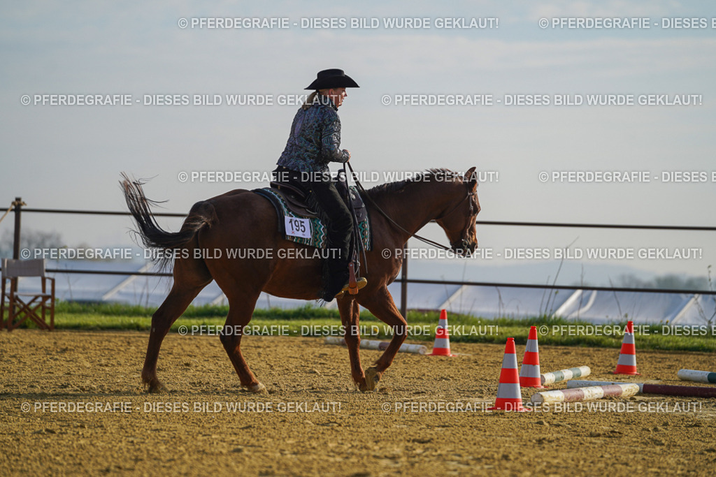 DSC00571 | Pferdegrafie