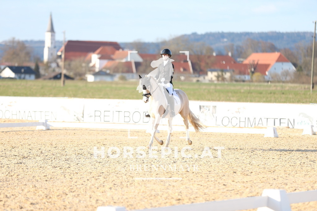 AS8V2240 | Willkommen bei Brunnmayr - Design & Fotografie – Ihrem Spezialisten für Reitturniere und Pferdeveranstaltungen in Oberösterreich, Salzburg und Bayern! Seit über 17 Jahren sind wir leidenschaftlich dabei.