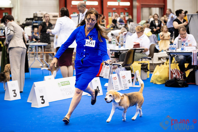 World Dog Show Donnerstag | World Dog Show 2023 Donnerstag im Palexpo in Genf 24.08.2023 Foto: Leo Wyden