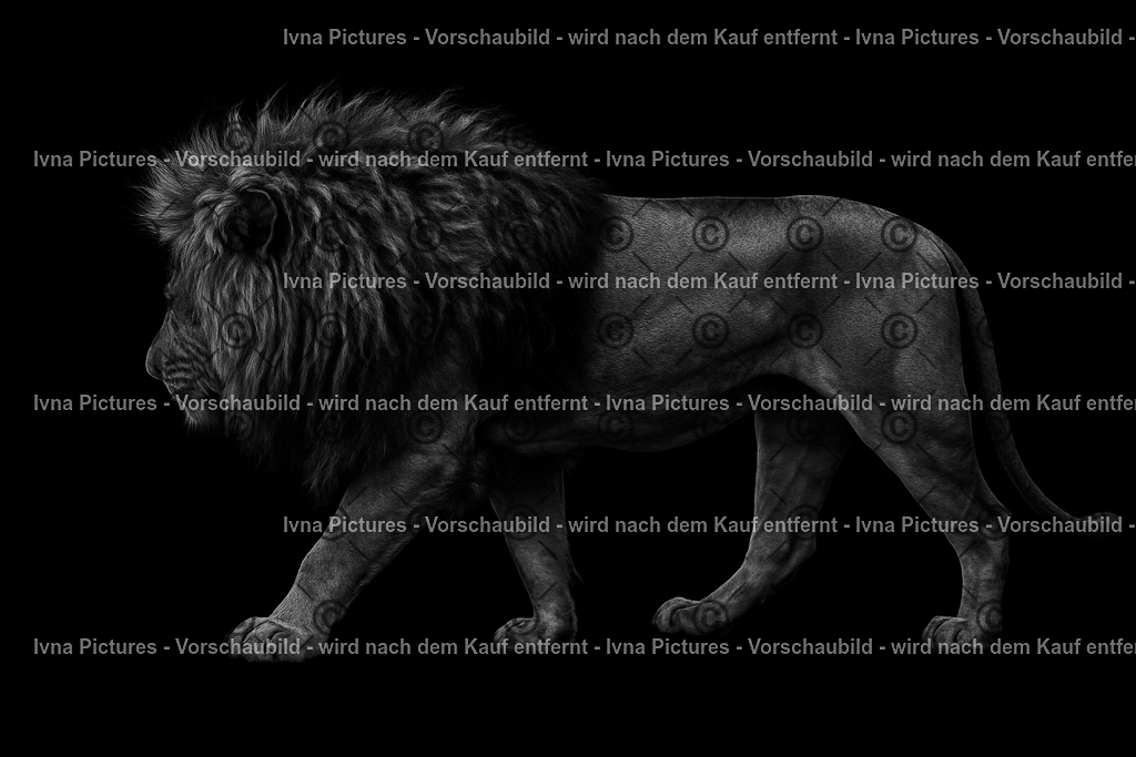 Stolzer Schrit | Ein kraftvoller Löwe schreitet durch die Dunkelheit. Die imposante Mähne und die muskulöse Statur unterstreichen seine Rolle als König der Savanne – ein Symbol von Stärke, Ruhe und Dominanz in jeder Bewegung. - Realisiert mit Pictrs.com