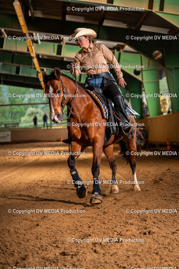 Balingen Tag 4-1391 | dv-media-shop - Realisiert mit Pictrs.com