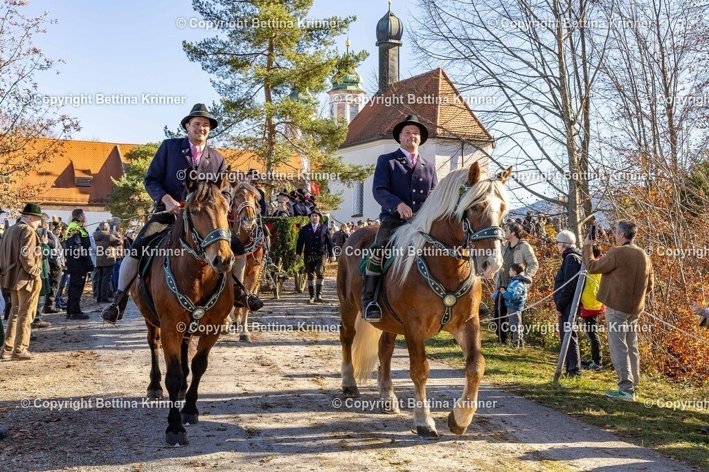 LBT25-1276 | foto-bettina-krinner - Realisiert mit Pictrs.com