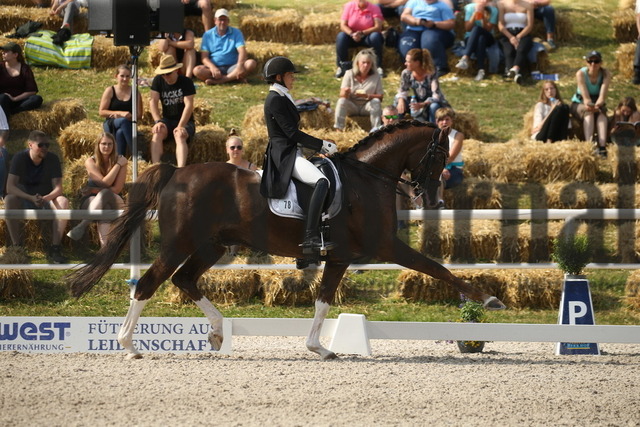 Birkhof_2022_GrandPrixSpecial_Jasmin Schaudt_Fano 3 (16) | Alle Fotos der Reiterjournal Fotografin Doris Matthaes im Reiterjournal Online-Fotoshop. - Realisiert mit Pictrs.com