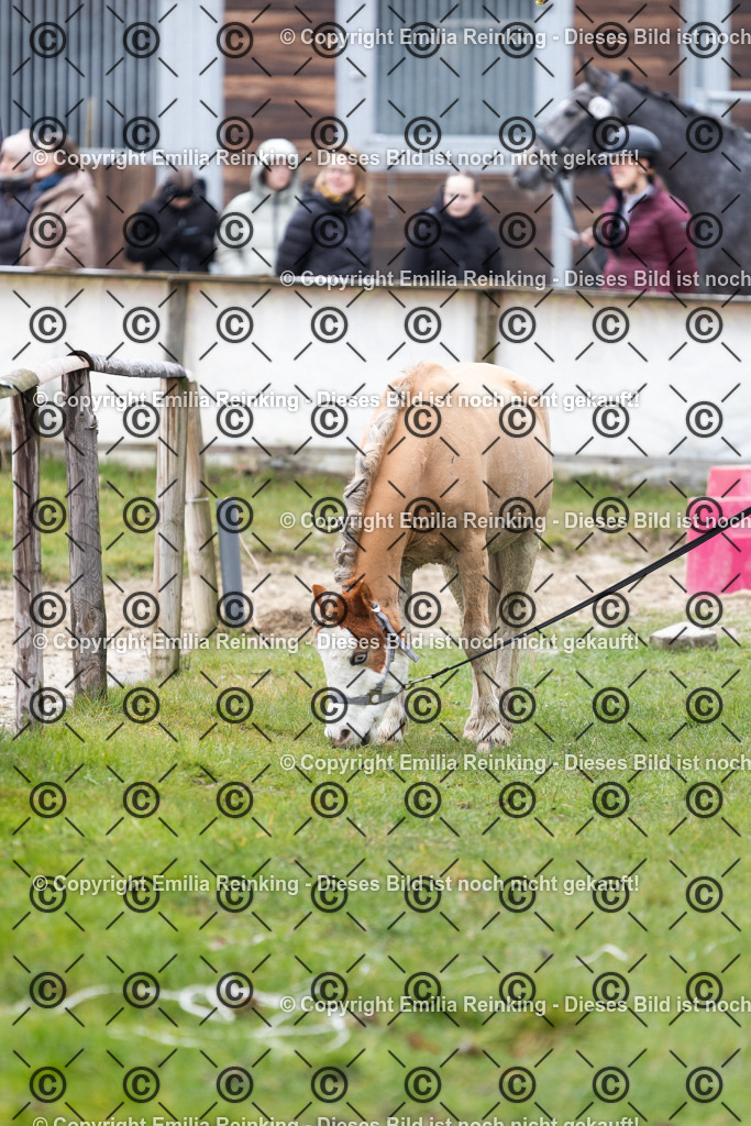 CL5A6881 | Emilia Reinking Fotografie - Realisiert mit Pictrs.com