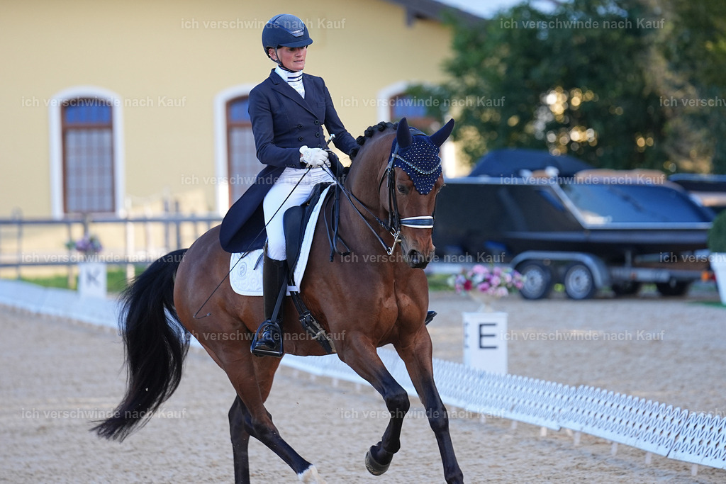 09_1-082-DRESSUR  S_  -Marixx-5645 | working equitationturnier fotograf videograf stoibphotography marixx film working equitation deutschland reitsport turnierfotografie eventfotografie equestrian events