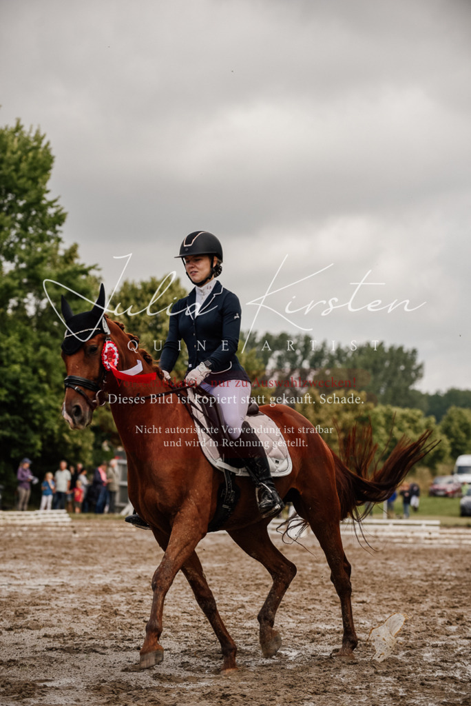 DSC_9401 | Pferde- und Turnierfotografie in Westsachsen. Pferdeportraits, Auftragszeichnungen und intuitive Kunst.