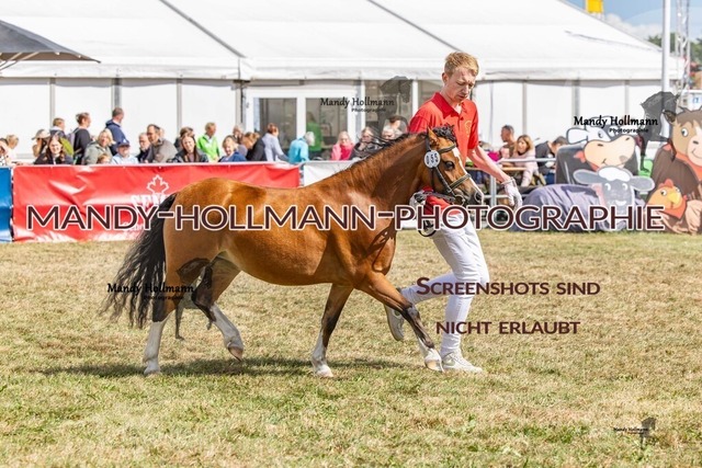 Wel (78 von 433) | mandyhollmannphotographie