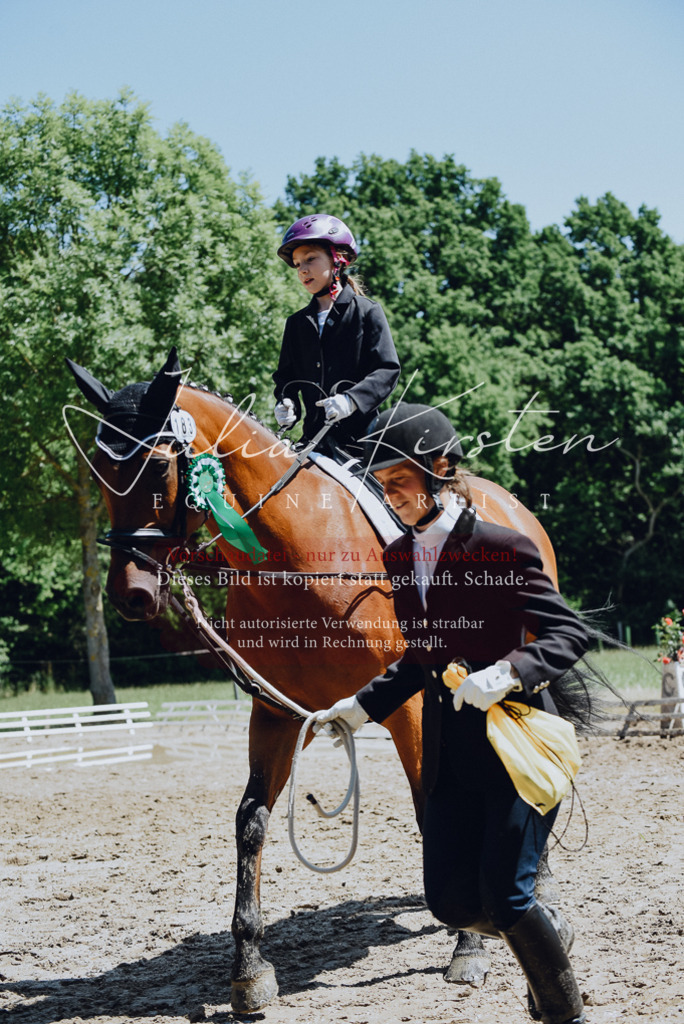 DSC_2383 | Pferde- und Turnierfotografie in Westsachsen. Pferdeportraits, Auftragszeichnungen und intuitive Kunst.