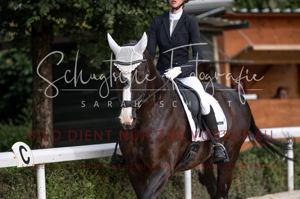 Schugtsche-Aluta25-40.DressurprfA_-245 | Schugtsche Fotografie - Realisiert mit Pictrs.com