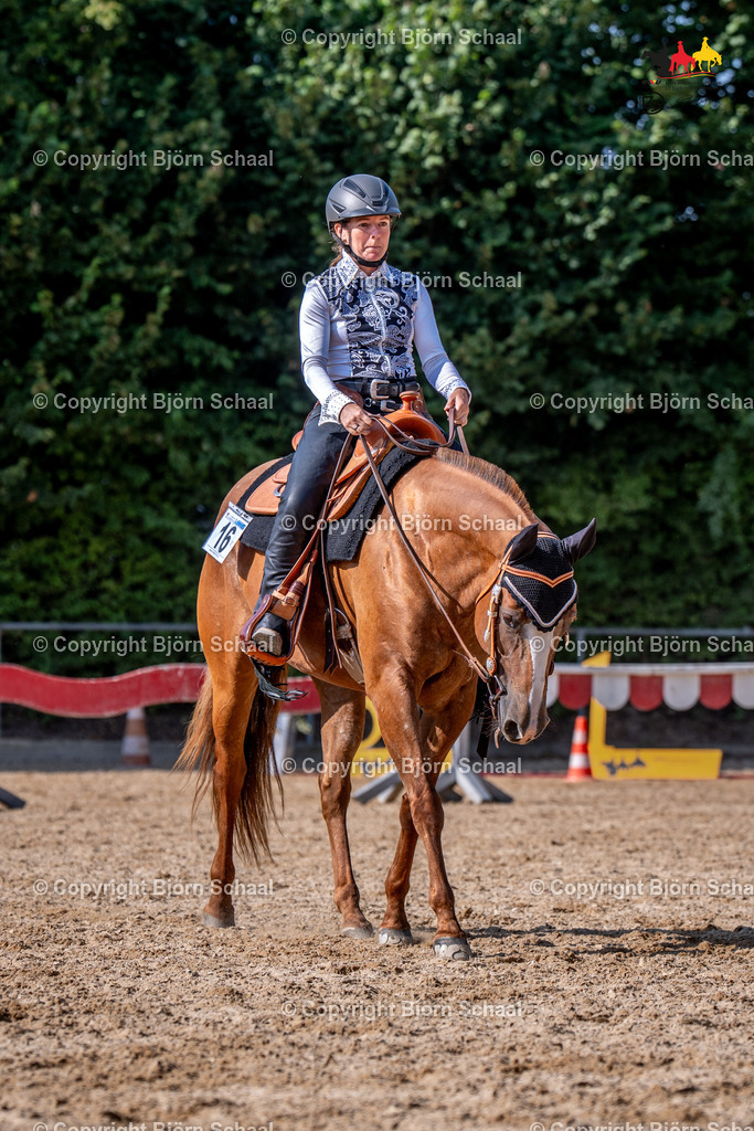 LMS07311 | BS-foto