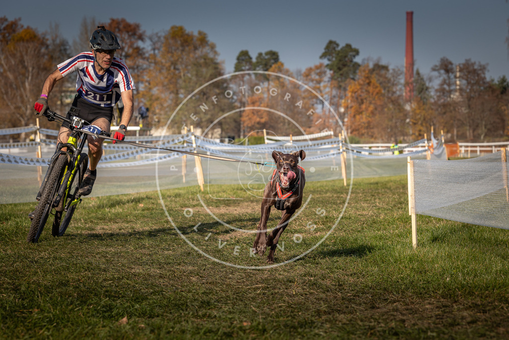 CaniXpix_0L8A7186 | Hundefotografie, Tierfotograf, Pfotenfotografie, Fotoshooting Hund, Hunde Portrait, Hundesport, Hundeportraits, Heideshooting, Hunde, Sportfotograf, Hundefotograf, Turnierhundsport, THS,  - Realisiert mit Pictrs.com