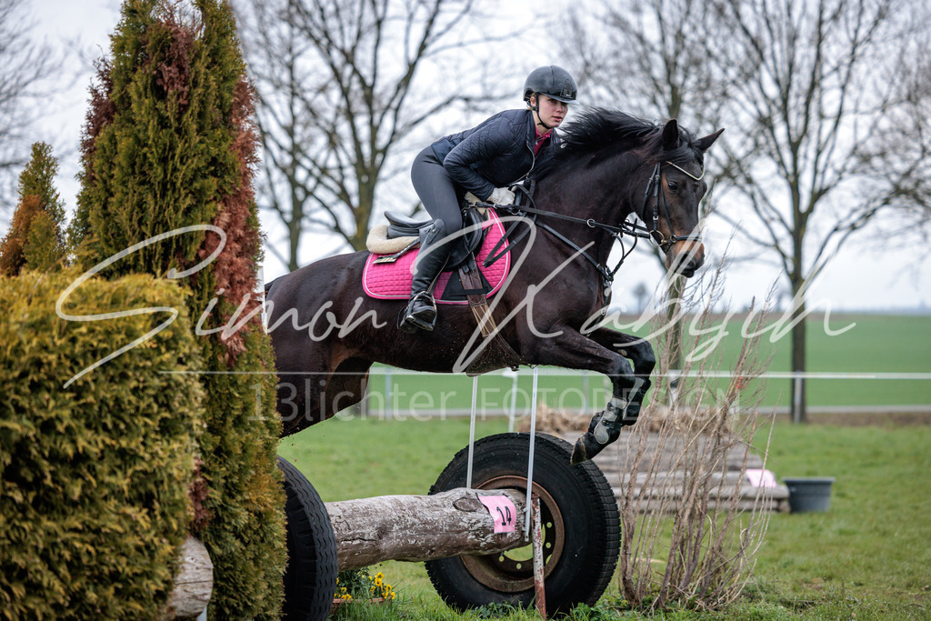20260329-_3LI4149 | Tierfotografie Pferde, Hunde, Katzen, Haustiere.
Turnierfotografie Reitturniere, Reiten, Springreiten, Dressur in Hanau, dem Main-Kinzig-Kreis und dem Rhein-Main- Gebiet um Frankfurt