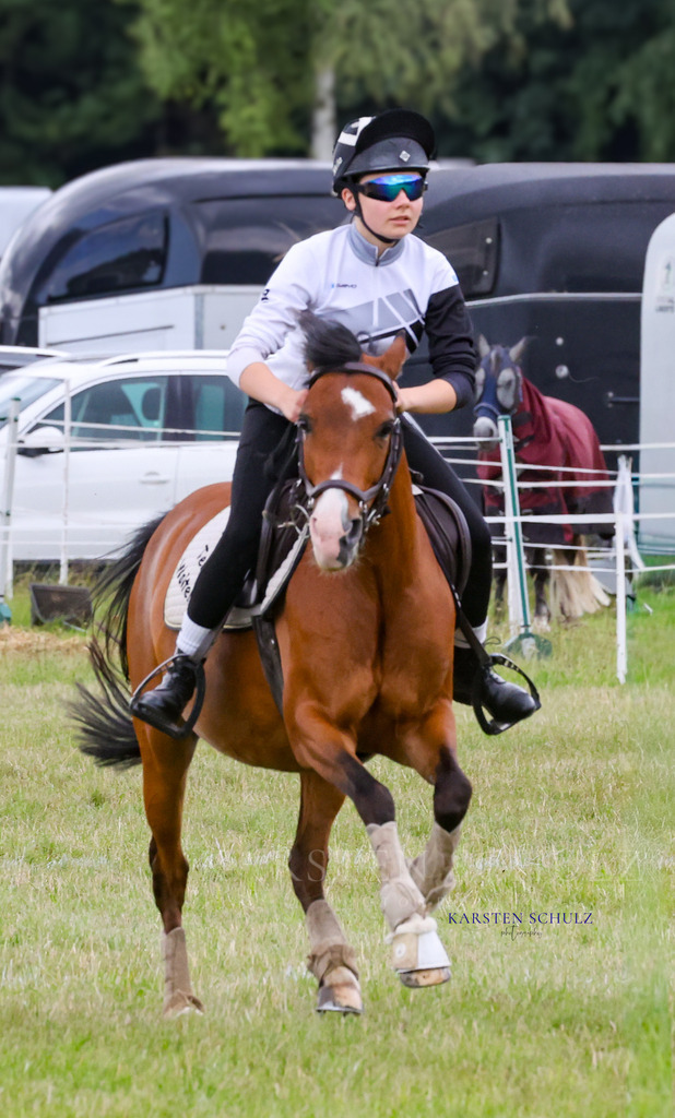 1B3A0737 | Reitsport Reiten