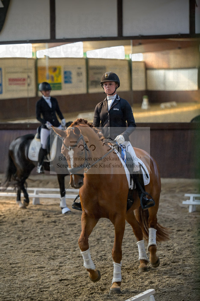 Reitturnier Voxtrup | Entdecke hochwertige Reitturnierfotos von Foto Oger. Professionell, emotional und authentisch – jetzt Lieblingsmomente im Shop bestellen.Deutschlandweite Turnierfotografie. - Realisiert mit Pictrs.com