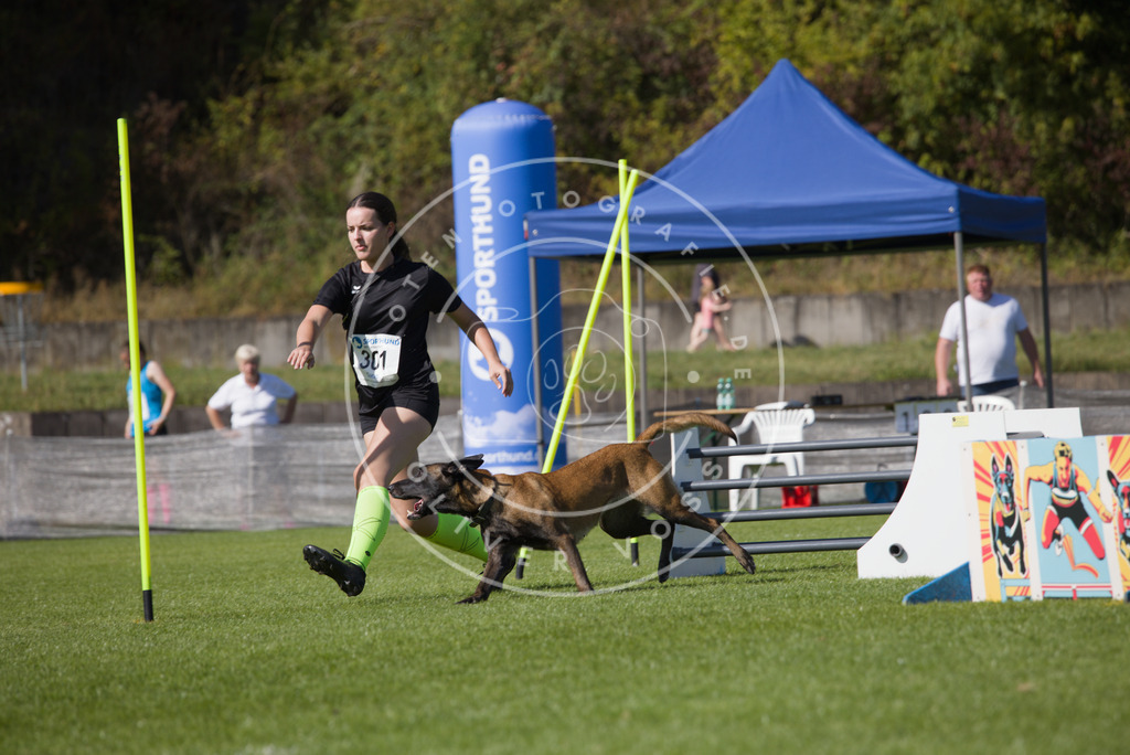 0L8A7480 | Hundefotografie, Tierfotograf, Pfotenfotografie, Fotoshooting Hund, Hunde Portrait, Hundesport, Hundeportraits, Heideshooting, Hunde, Sportfotograf, Hundefotograf, Turnierhundsport, THS,  - Realisiert mit Pictrs.com