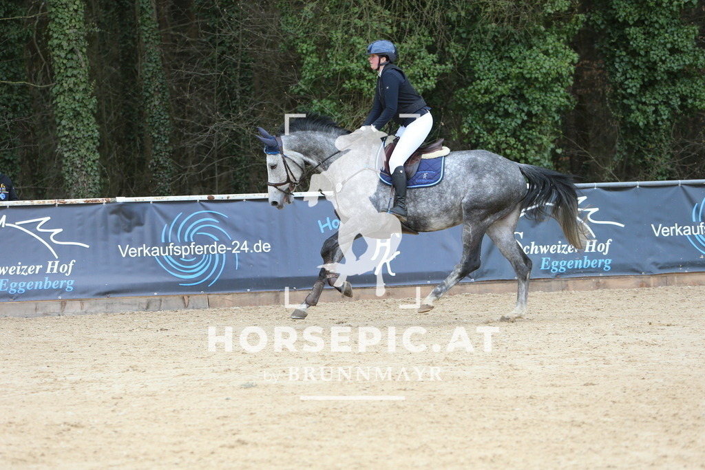 DL2Q0080 | Willkommen bei Brunnmayr - Design & Fotografie – Ihrem Spezialisten für Reitturniere und Pferdeveranstaltungen in Oberösterreich, Salzburg und Bayern! Seit über 17 Jahren sind wir leidenschaftlich dabei.