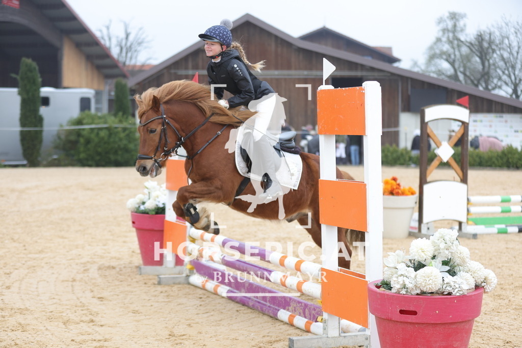 0P6A8642 | Willkommen bei Brunnmayr - Design & Fotografie – Ihrem Spezialisten für Reitturniere und Pferdeveranstaltungen in Oberösterreich, Salzburg und Bayern! Seit über 17 Jahren sind wir leidenschaftlich dabei.